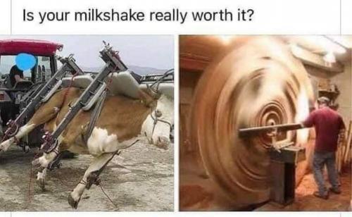 ff - 0917 - Is_Your_Milkshake_Worth_It