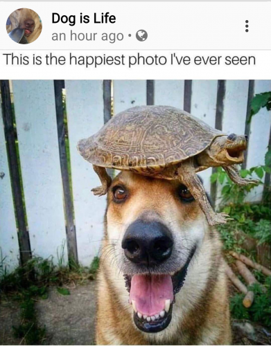 Screenshot_20210926-121659