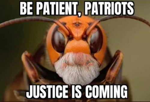 image_1631833042.227