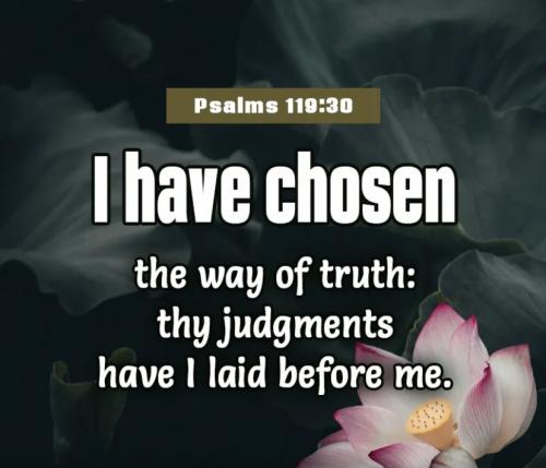 Psalm 119:30