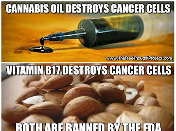 2247BA2A-F80A-482C-8E7F-C6163D2F7736