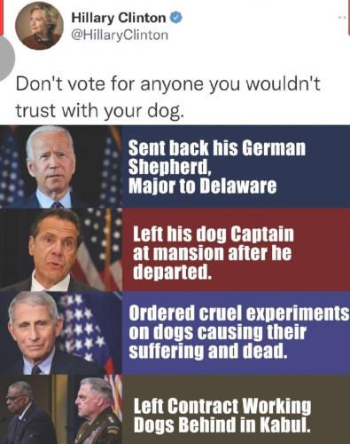 trust dog
