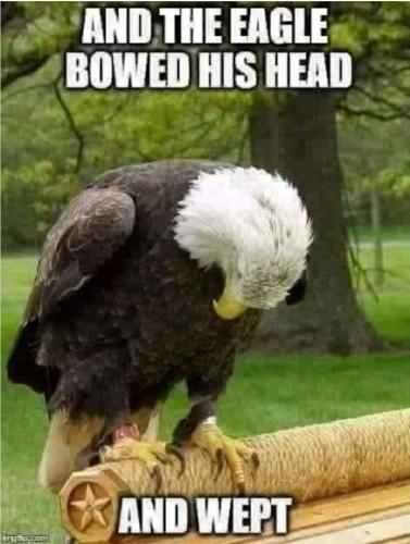 Screenshot_20210827-160611_MeWe