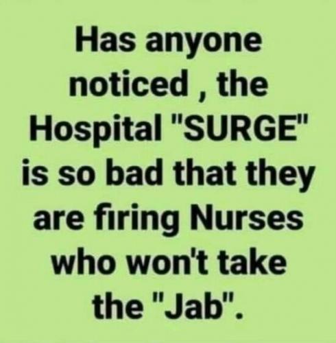 9313DD81-FAED-44CB-92C2-4CD293F09182