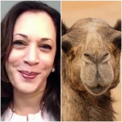 C0E7CFD7-E971-4E7F-8227-516BB6327B8F