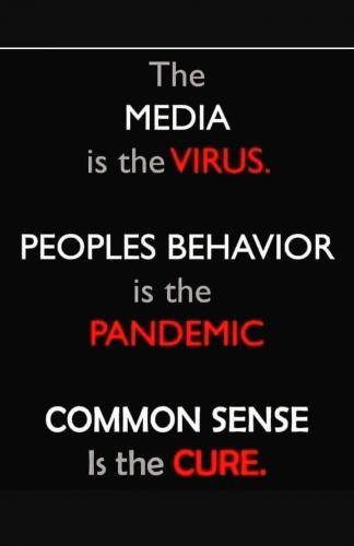 THE MEDIA IS VIRUS