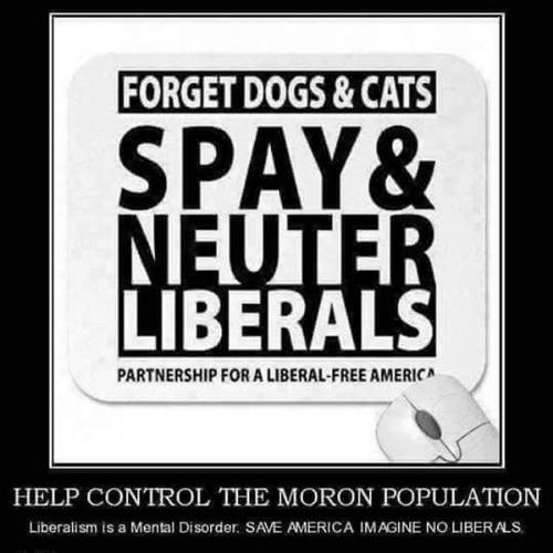 C moron