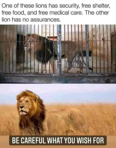 54168D52-F739-4886-9EA1-C45C64276CA2