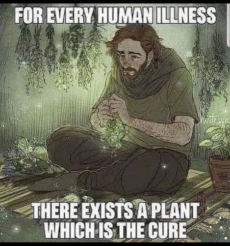 31390859-4250-4881-8C2F-67C8C4F1F0E6