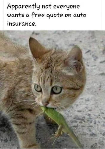geico