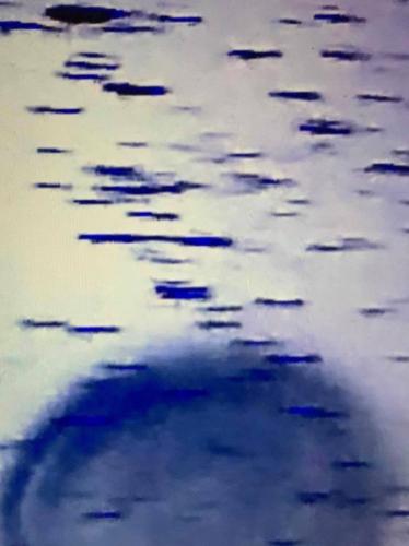 2FFEC500-C4F0-4838-A032-2CBFFFF9932B_1_105_c