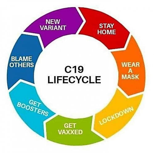 020C40CA-C4A1-4E3E-ACF6-EB1F887317C0