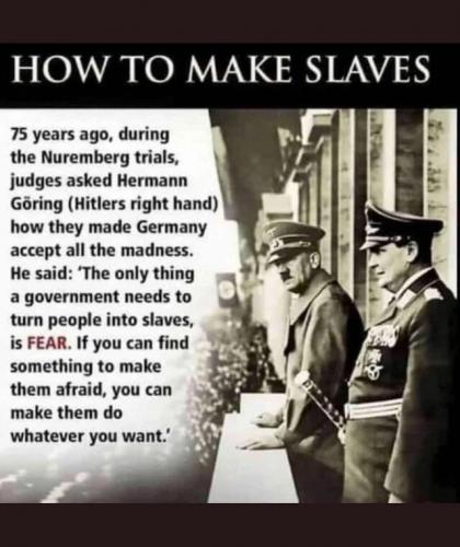 F6E4EE89-435C-495B-8DE4-1D000D68F01D.JPG