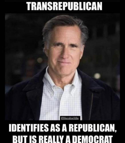 83c1895845491604cee5592e5041356a_500x0