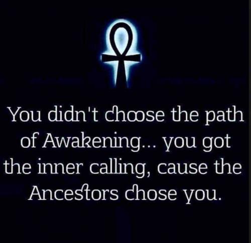 08971922-17DC-4177-8523-9F452F3281D1