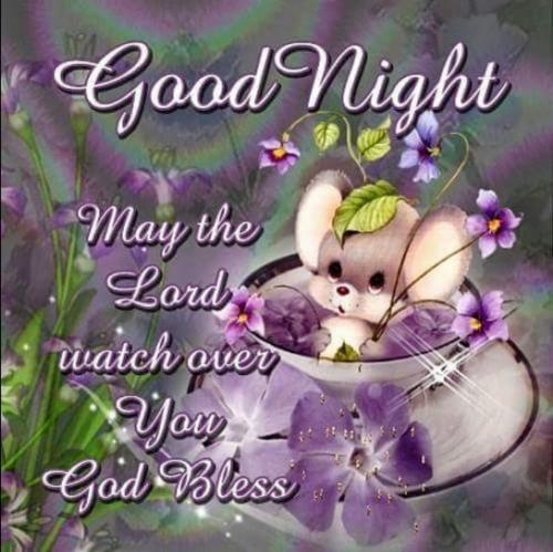 Screenshot_20210917-192209_Photos