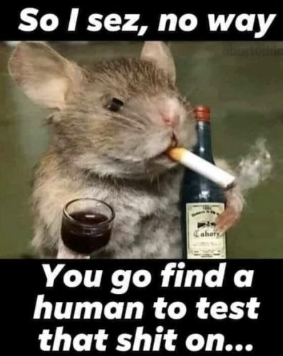 SO I SEZ