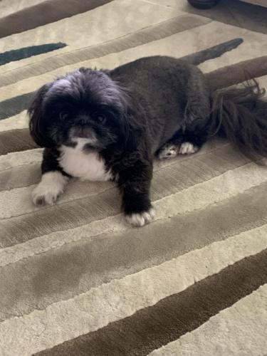 855909C1-A205-4449-919B-223A0E8C430E