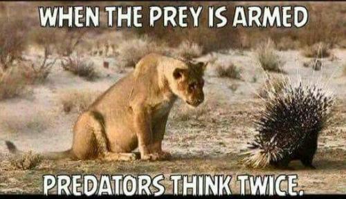 7E618950-F389-4C2D-BB51-9D3A823B0786