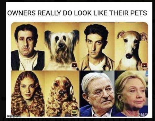 D0E49FE5-3C5D-4B0D-A043-6C36B7DAC7C9