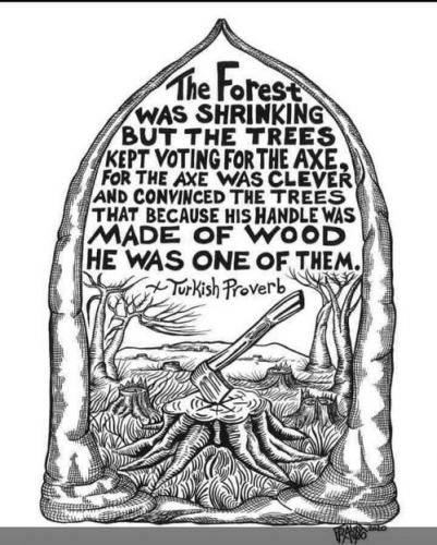 turkish proverb 8123497410235