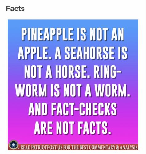 image_1631565742.063