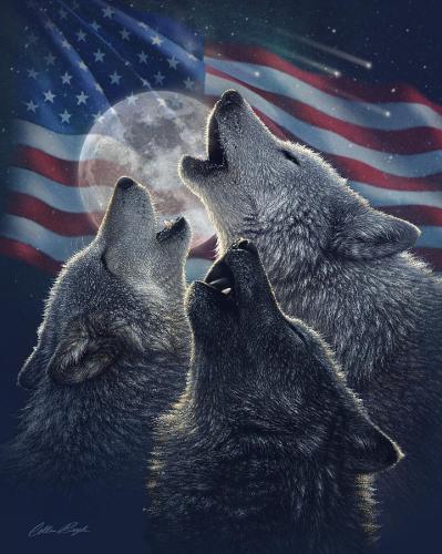 american-wolf-unity-