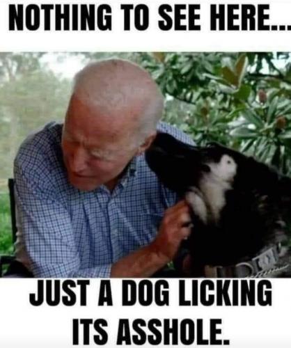 0E3EF0E4-8756-4EFC-9F51-94A8A91B7684