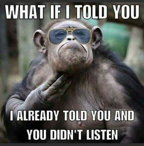 Screenshot_20200819-233607_MeWe