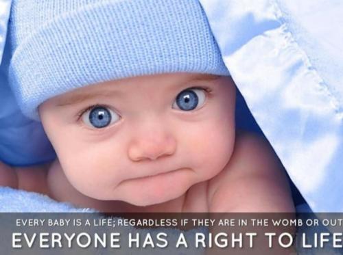 Screenshot_20210920-142901_Gallery