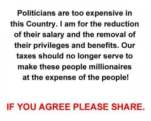 politicians too expensive