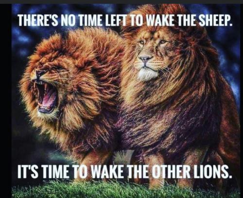 F725804C-B67A-4809-9C29-2104B4ADBBF6