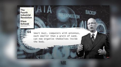 KLAUS SCWAUB   NAZI  8 Smart DUST