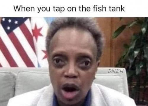 242502449_1198514973988427_7730764598704121486_n