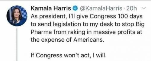 kamala - writing laws (3)