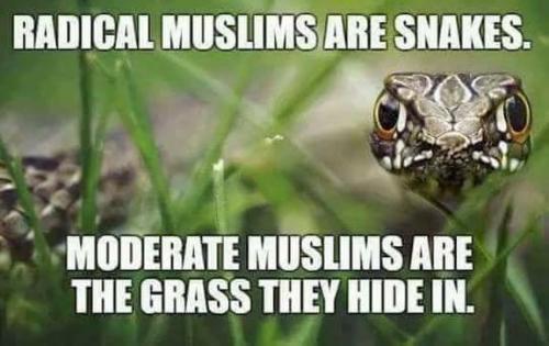 snakes