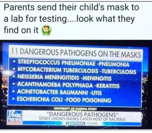 masks catch