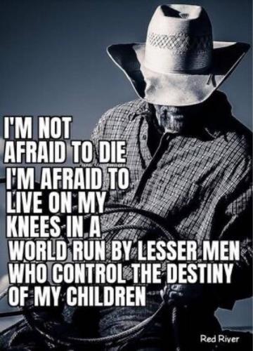 81DE3EA6-D296-4B85-974C-BA5317D542F3