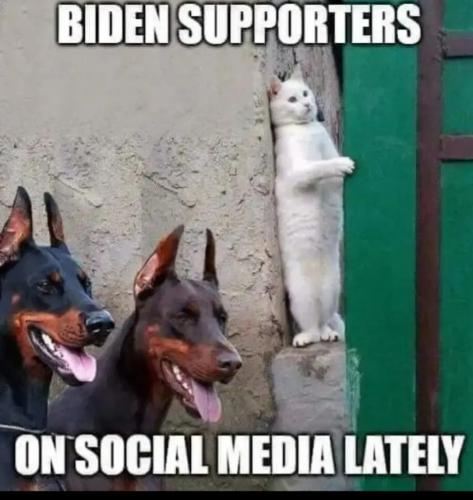 Screenshot_20210902-125441_CloutHub