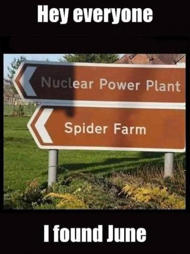 0101ABF3-7E19-46B0-B3D1-F8254CBACD91