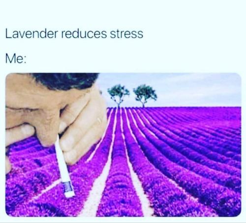 photo_2021-09-25_10-54-19