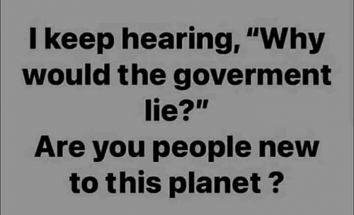 stupid