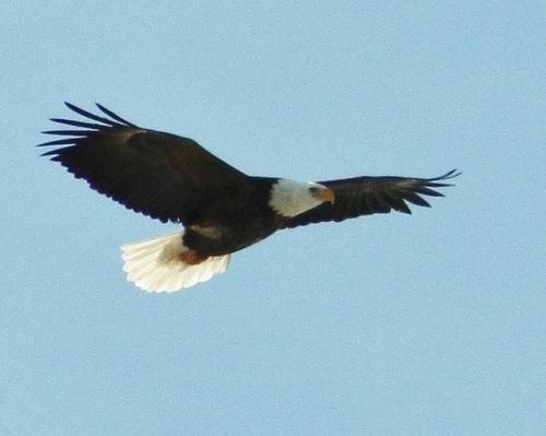 3A9A55AE-FBA0-404A-AFC8-995D30694390