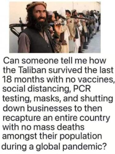 immune