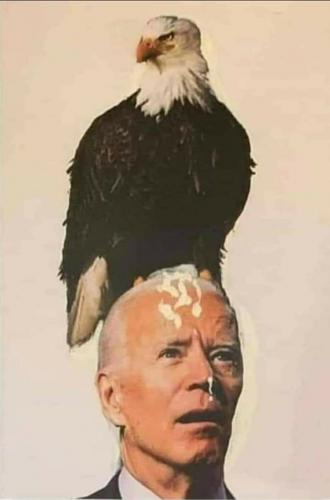 biden crap