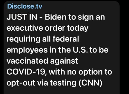 5163c3bcd53acea1984afbb6bfd99b32_500x0