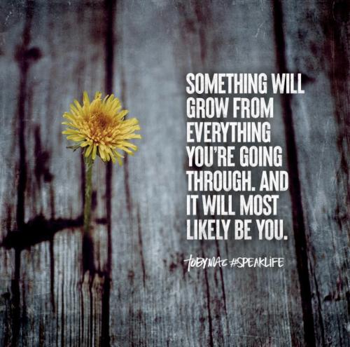 5FADA9A5-7CA7-40BE-9120-9E433D5F5A15