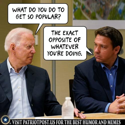 01FG9861REDNFHNB5YFAS5HQM7