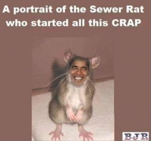 sewer rat