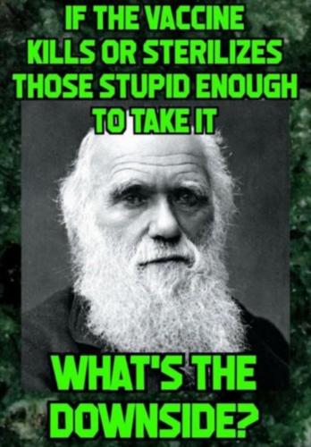 E054EA8A-A6BE-48AC-B94D-8F3CF3F318C8